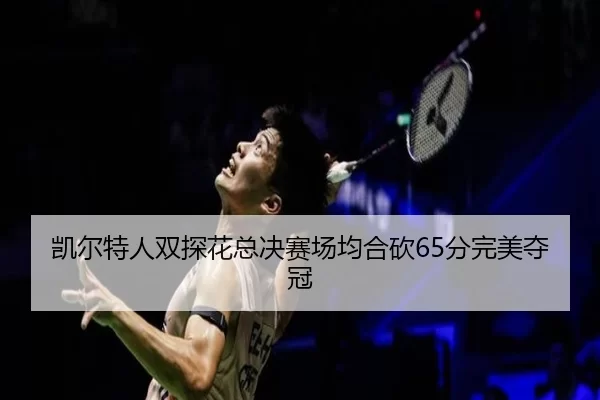 凯尔特人双探花总决赛场均合砍65分完美夺冠