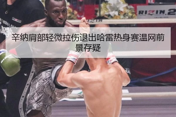 辛纳肩部轻微拉伤退出哈雷热身赛温网前景存疑